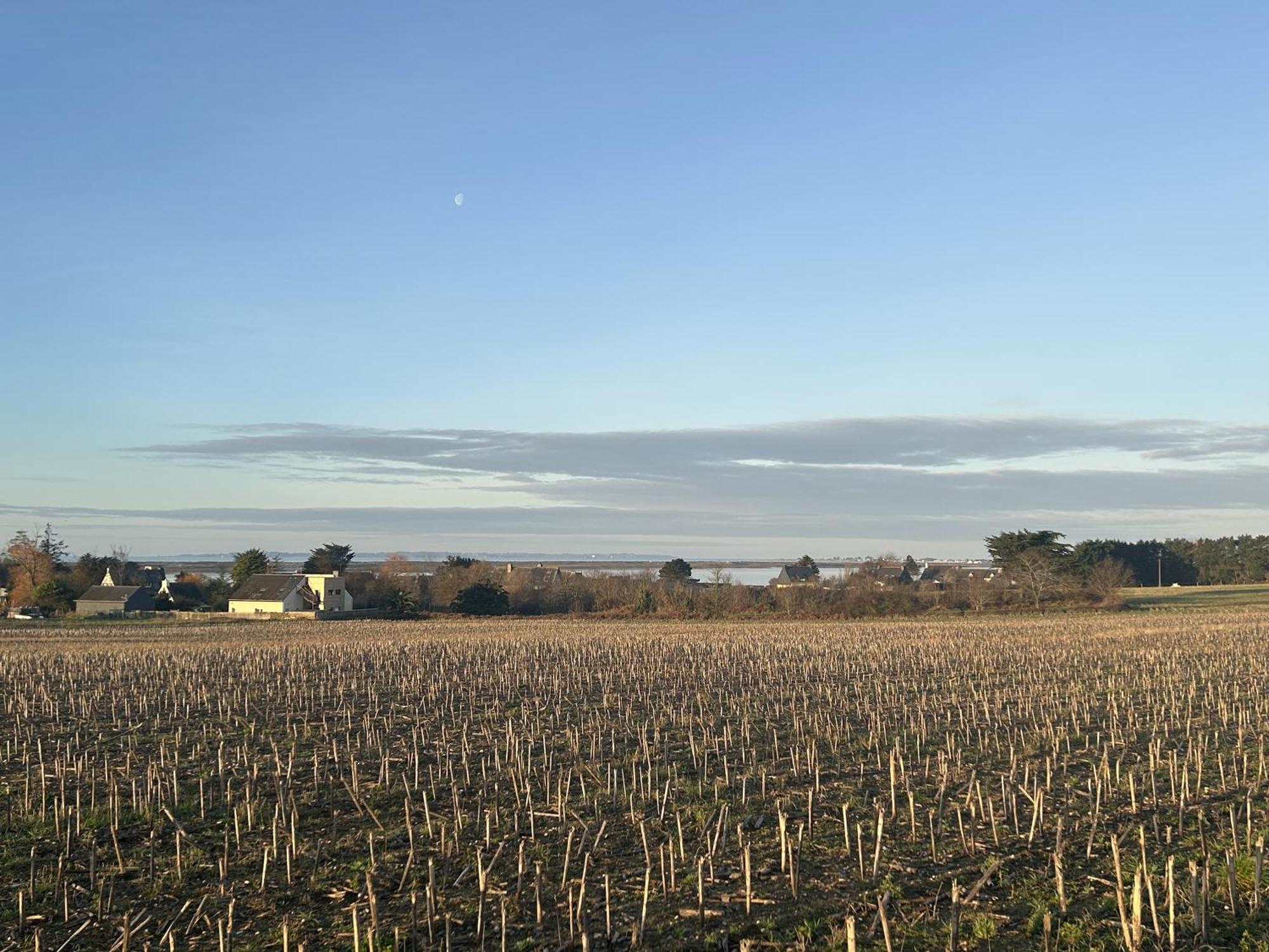 Petit Duplex Proche Mer Plouhinec  Buitenkant foto